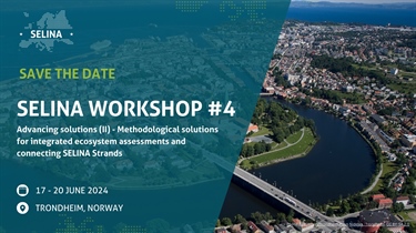 Experts from across Europe meet in Trondheim to discuss integrated ecosystem assessments